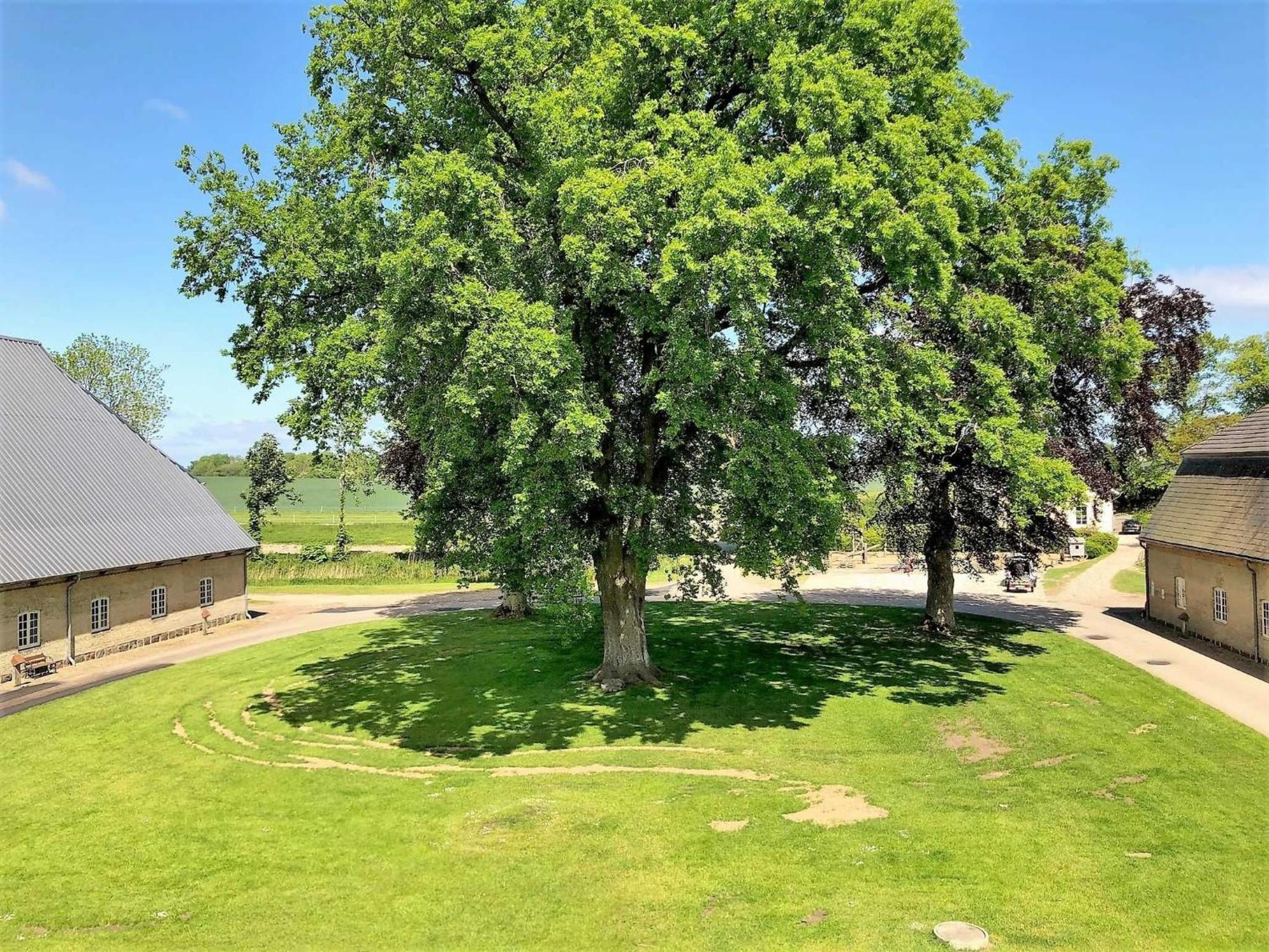 Ferienwohnungen Herrenhaus Gut Oestergaard Steinberg  Exterior foto
